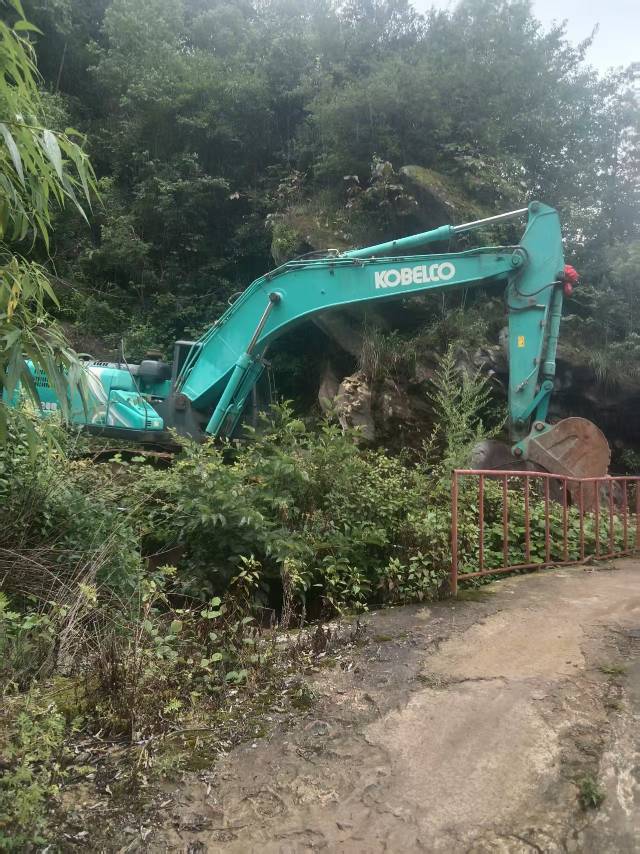 Used Kobelco Sk250-10 Excavator 2017 Model / 3