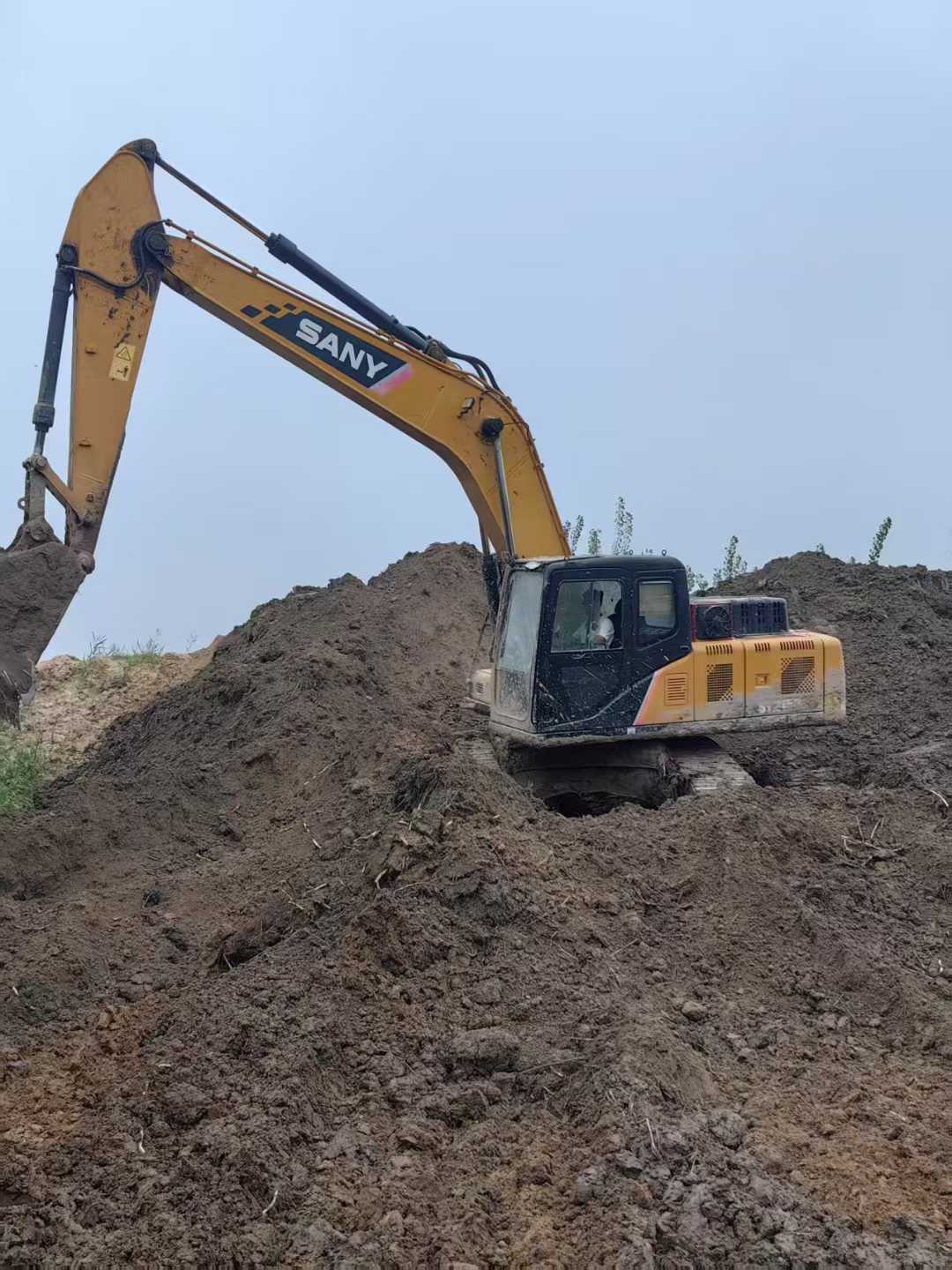 Used Sany SY215W Excavator 2019 Model