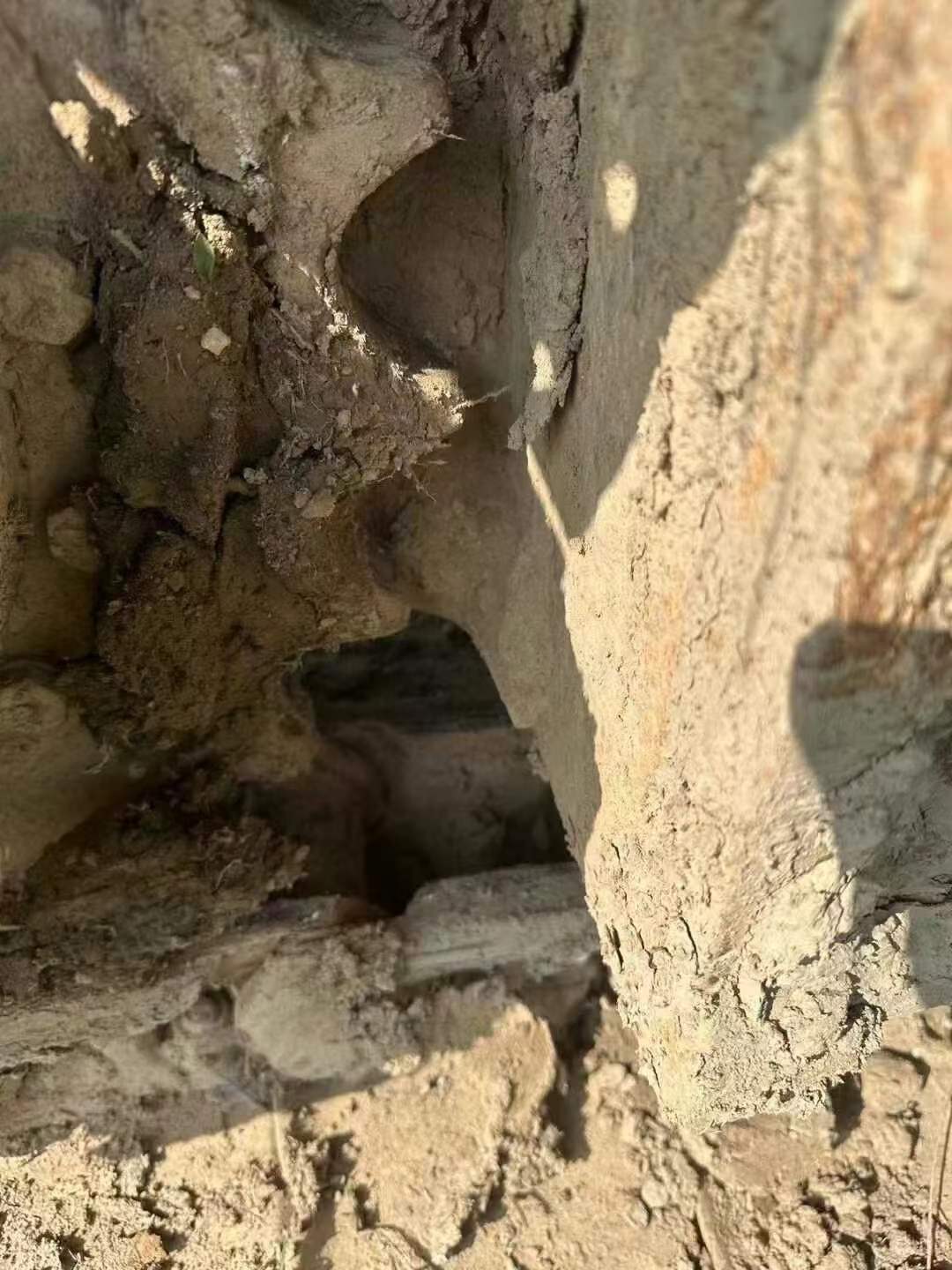 Used Kobelco SK140 Excavator 2019 Model / 8