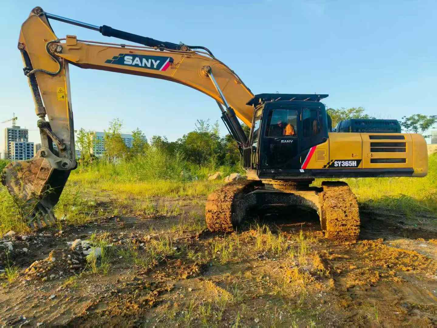 Used Sany SY365H Excavator 2021 Model / 6