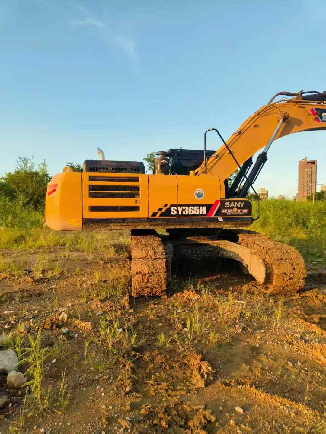 Used Sany SY365H Excavator 2021 Model / 6