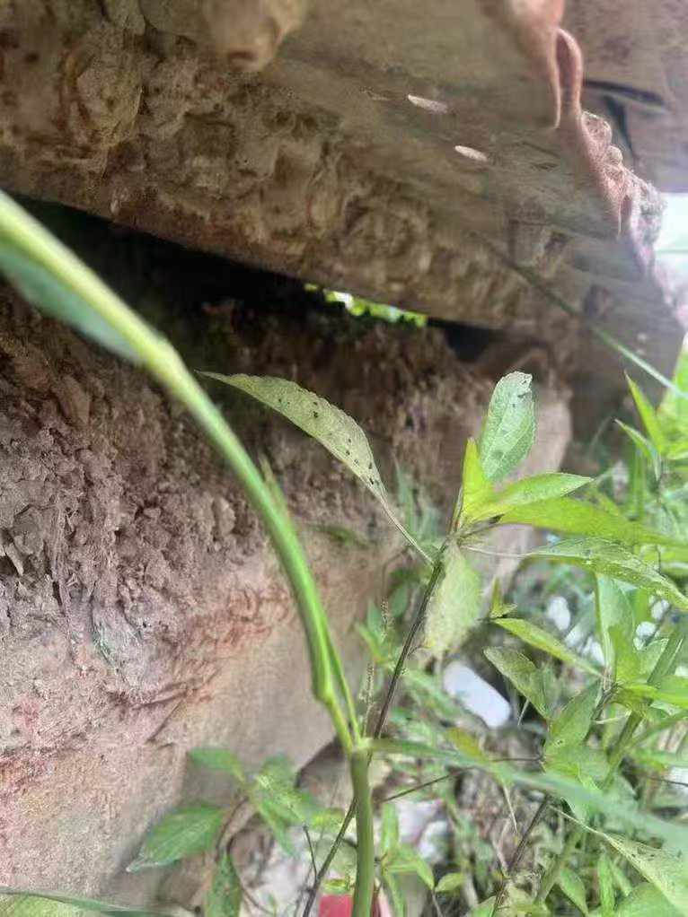 Used XCMG XE60 Excavator 2016 Model / 9