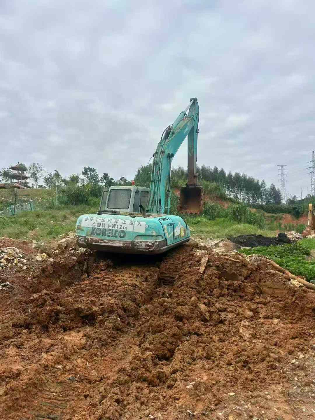 Used Kobelco SK200-5.5 Excavator 2016 Model / 5