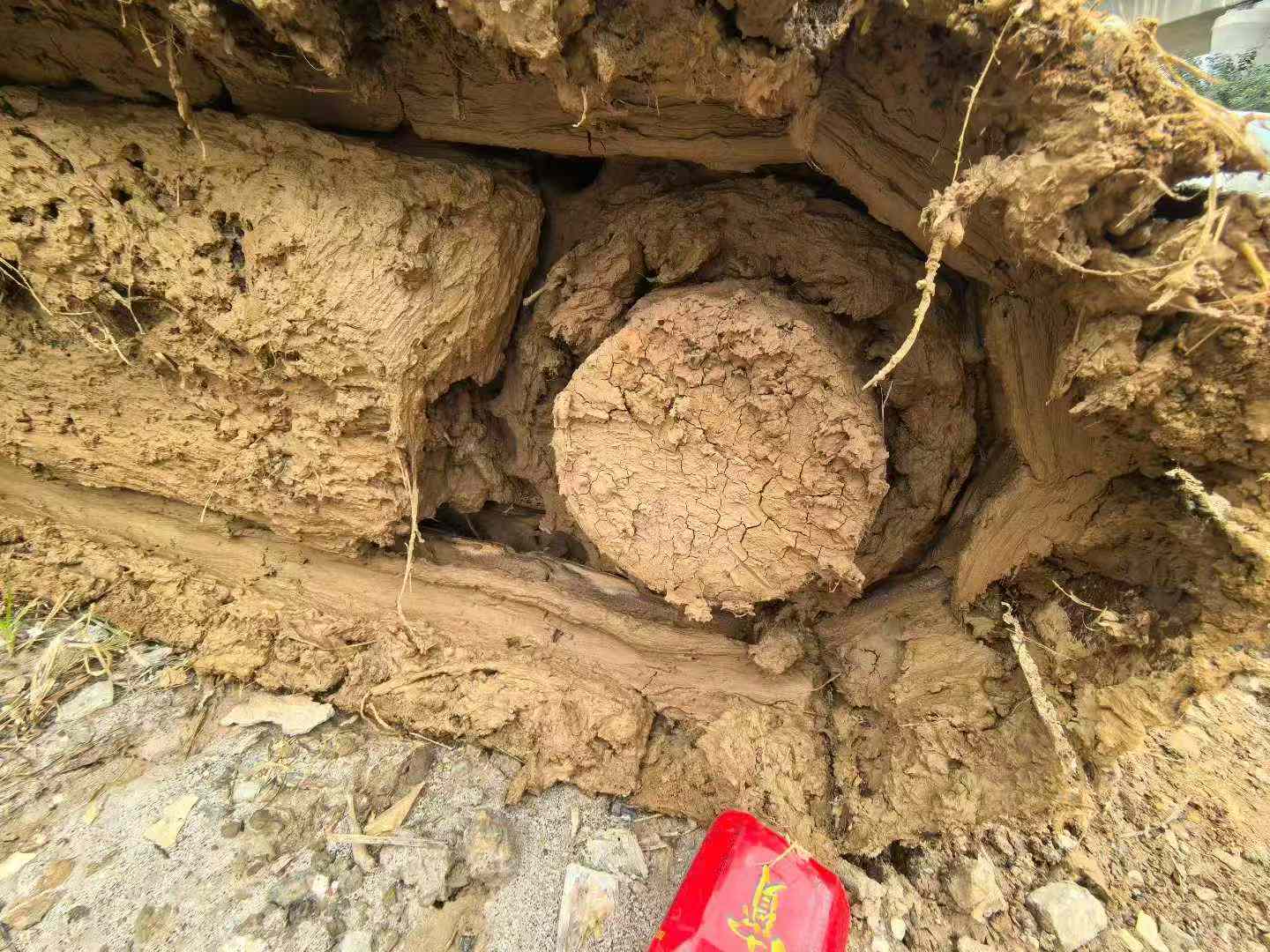 Used Hyundai HX60 Excavator 2020 Model / 9