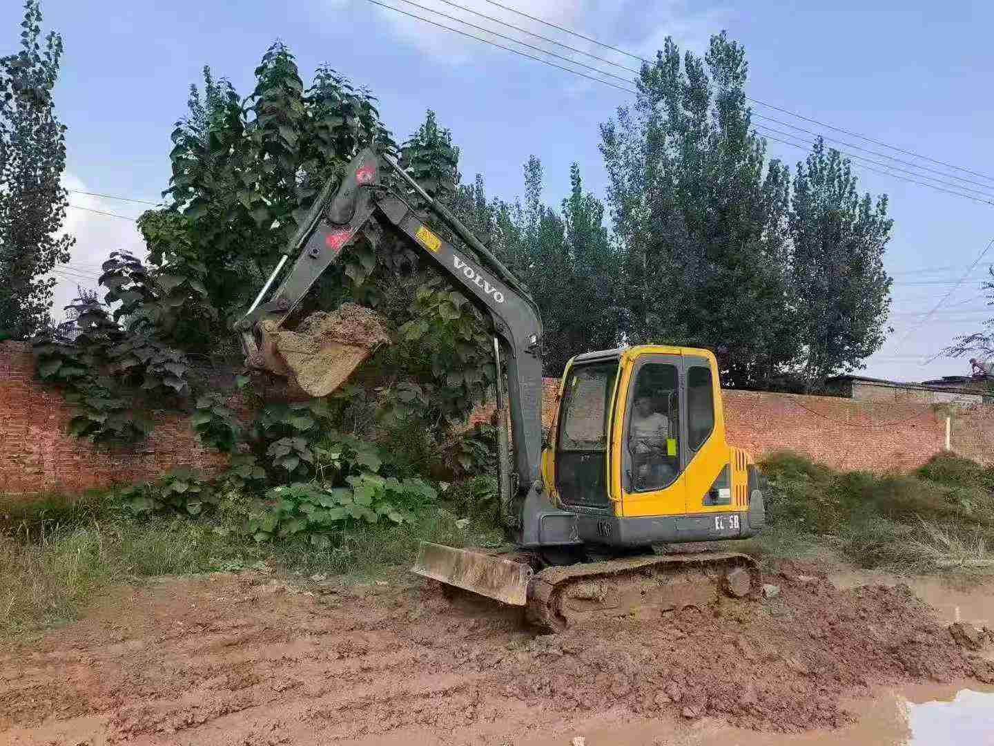Used Volvo EW55 Excavator 2016 Model / 8