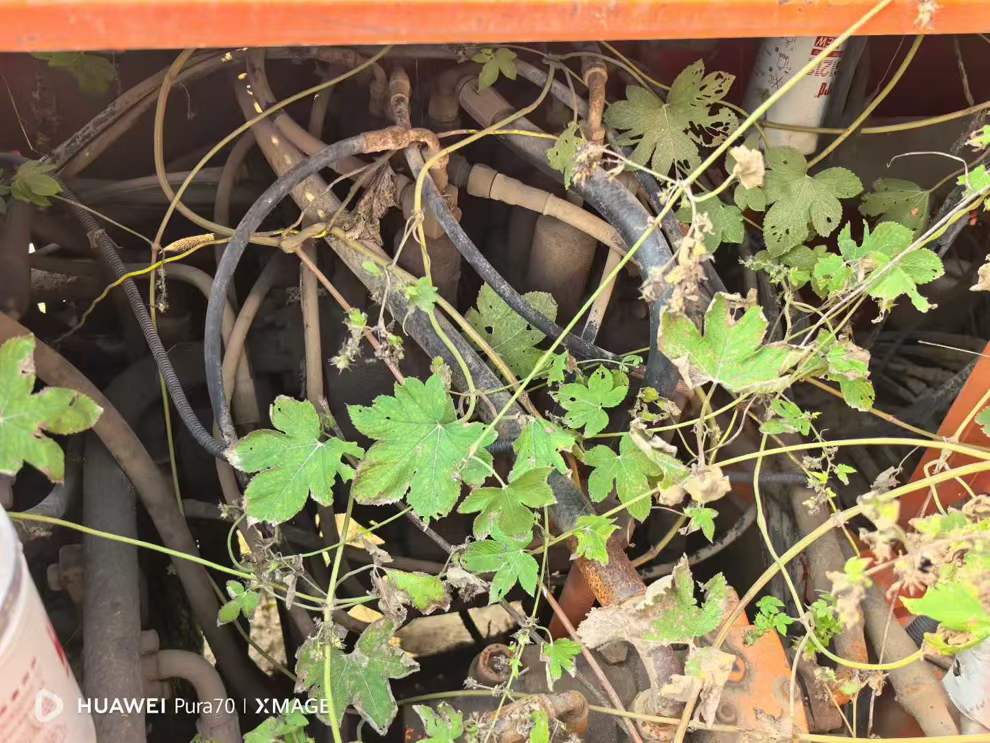 Used Doosan DX15 Excavator 2016 Model / 4