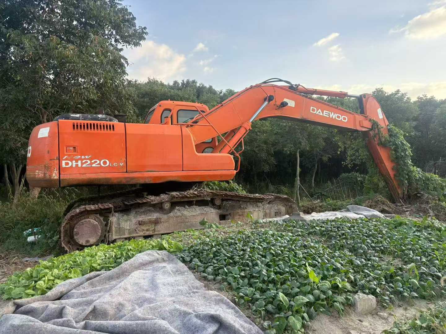 Used Doosan DH220-5 Excavator 2016 Model / 3