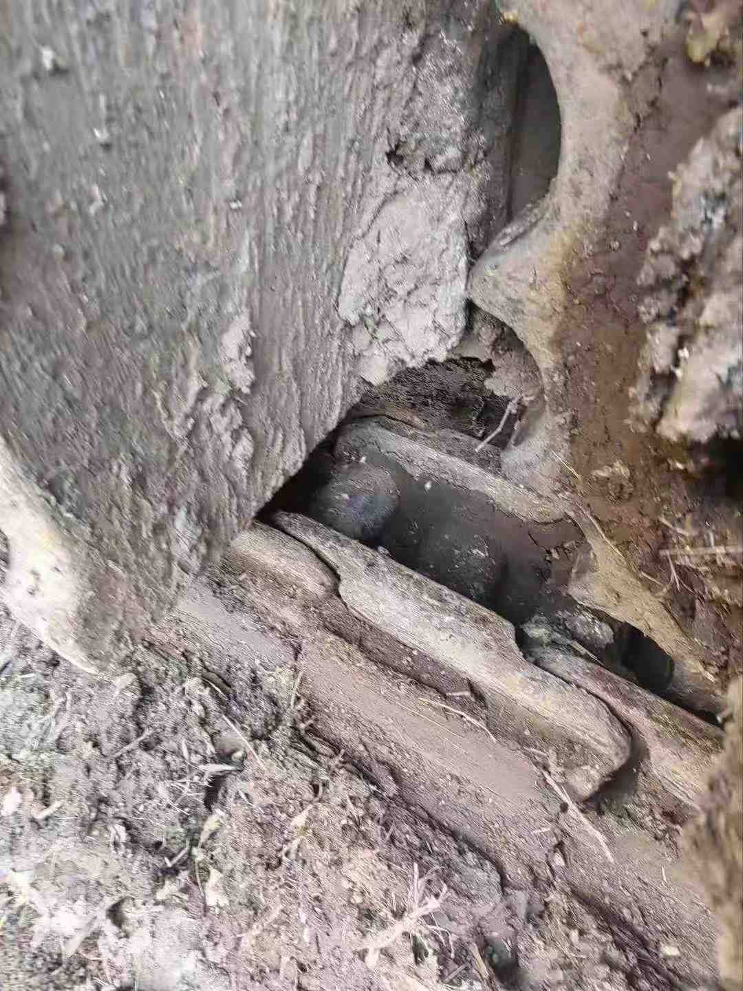 Used Kobelco SK210 Excavator 2010 Model / 8