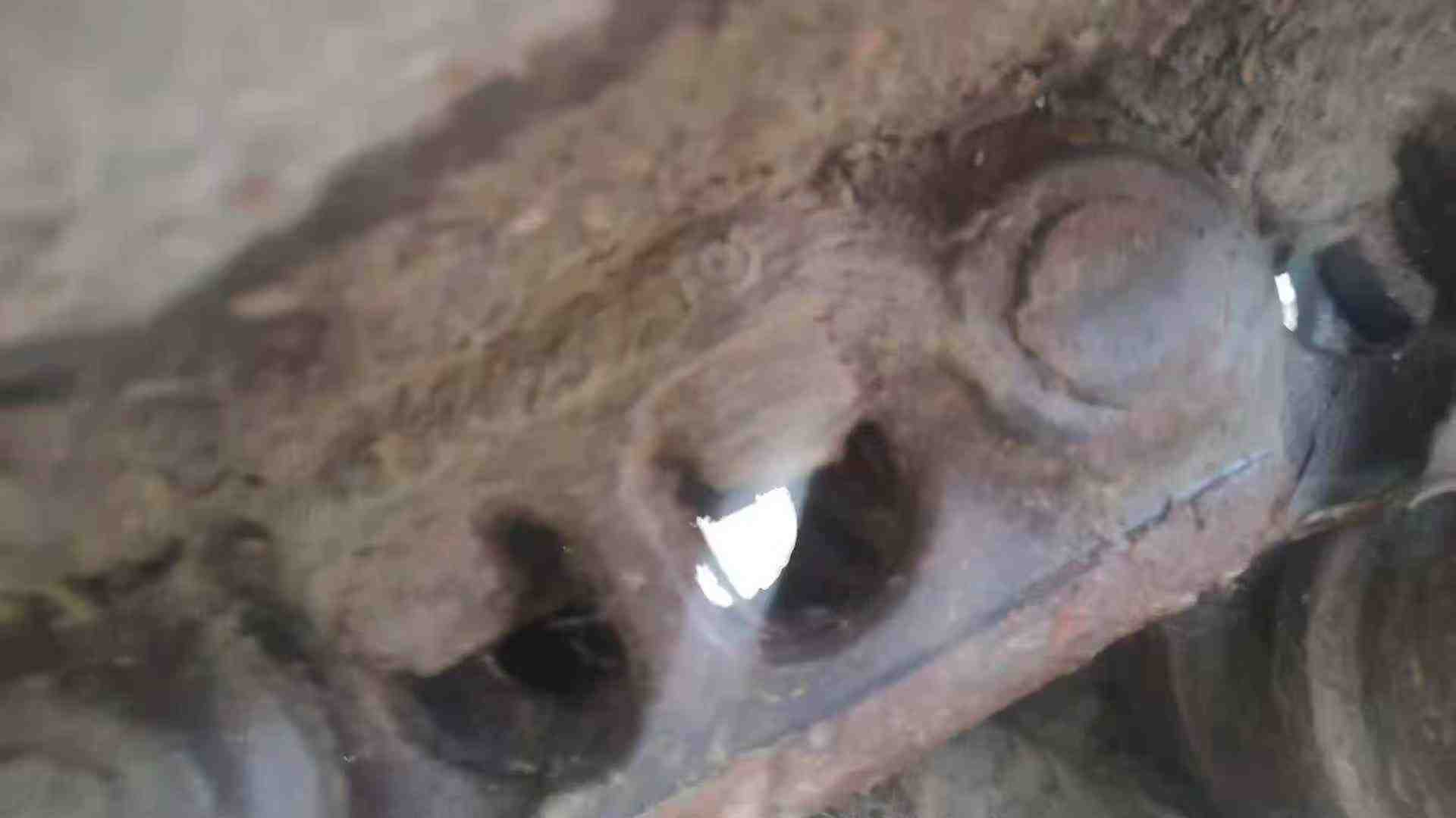 Used Caterpillar 320GC Excavator 2019 Model / 3