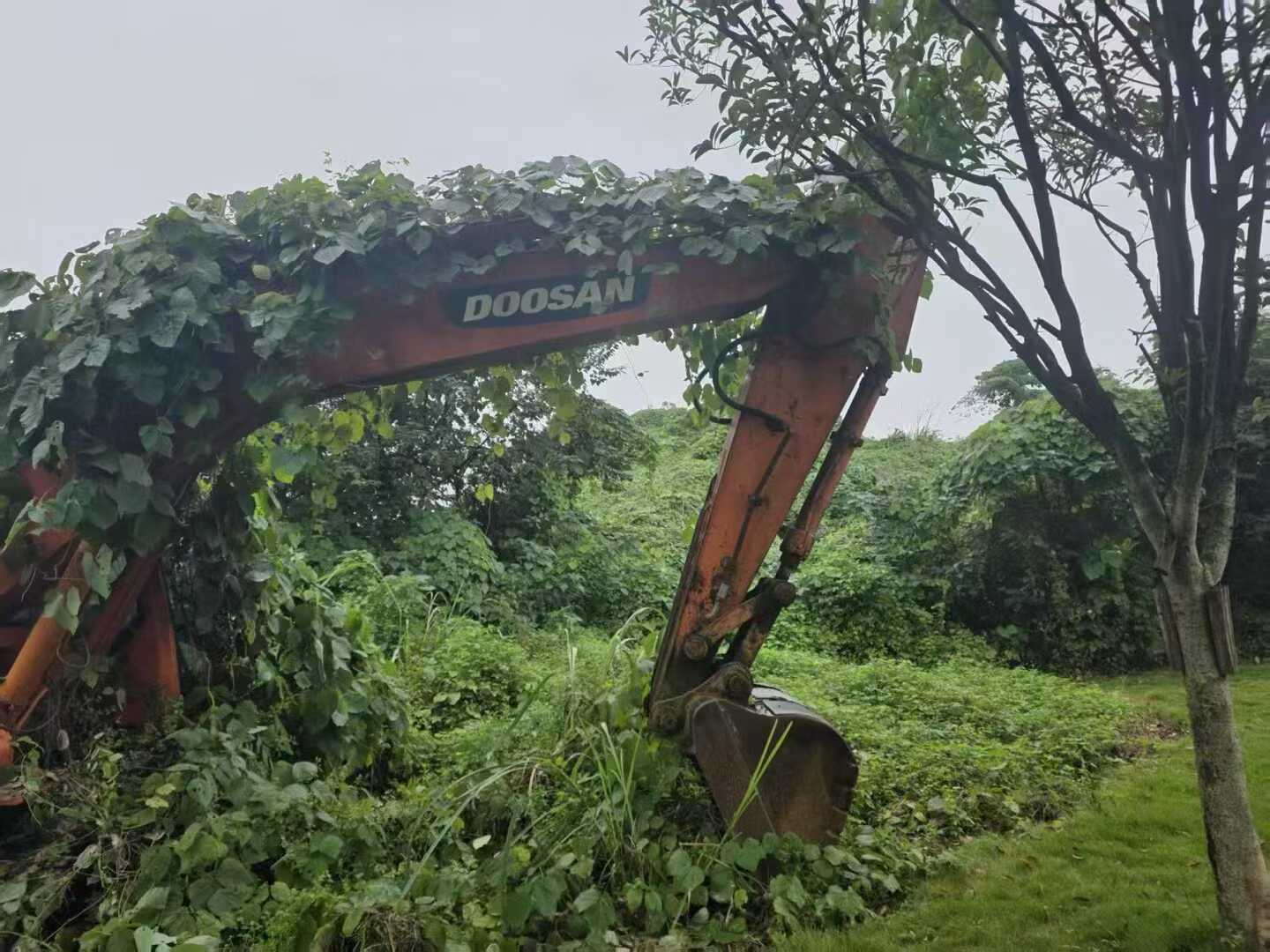 Used Doosan S225 Excavator 2016 Model / 4