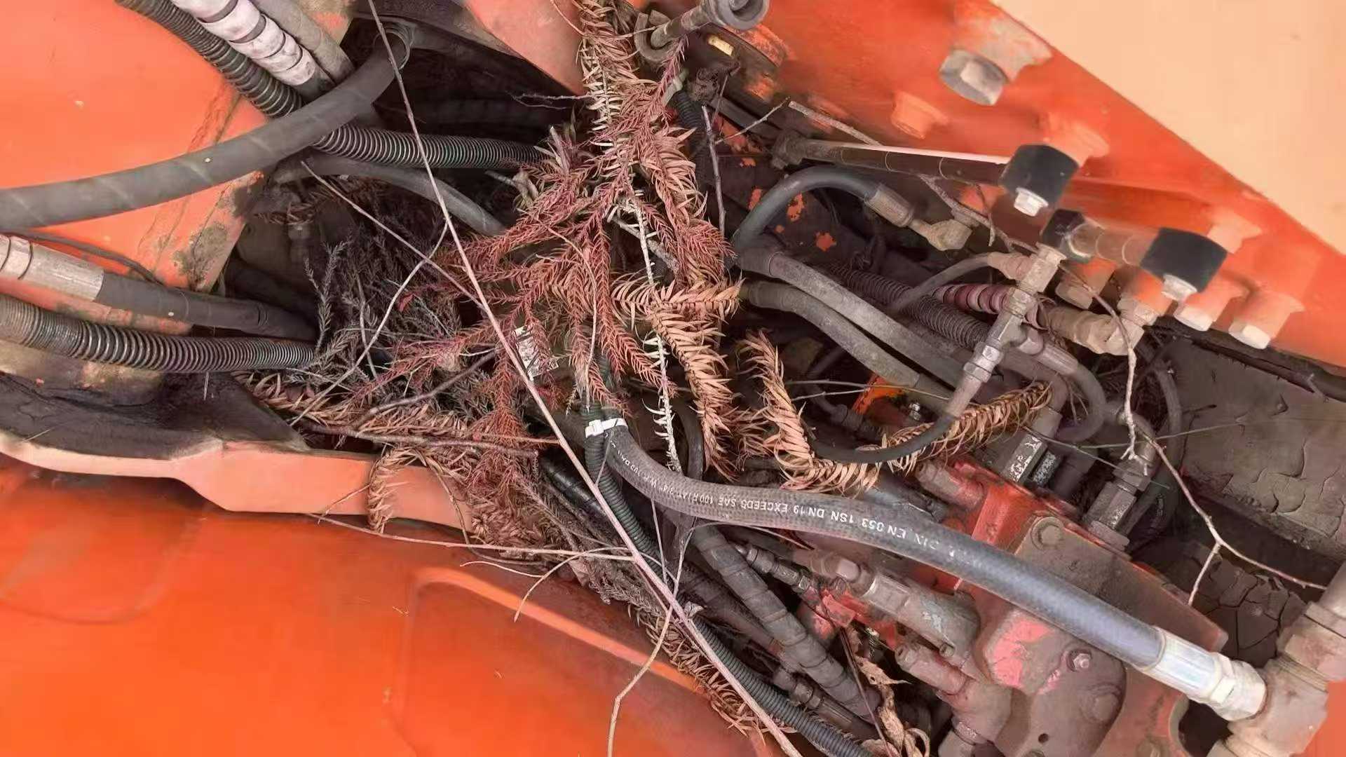 Used Doosan DX80 Excavator 2016 Model / 6