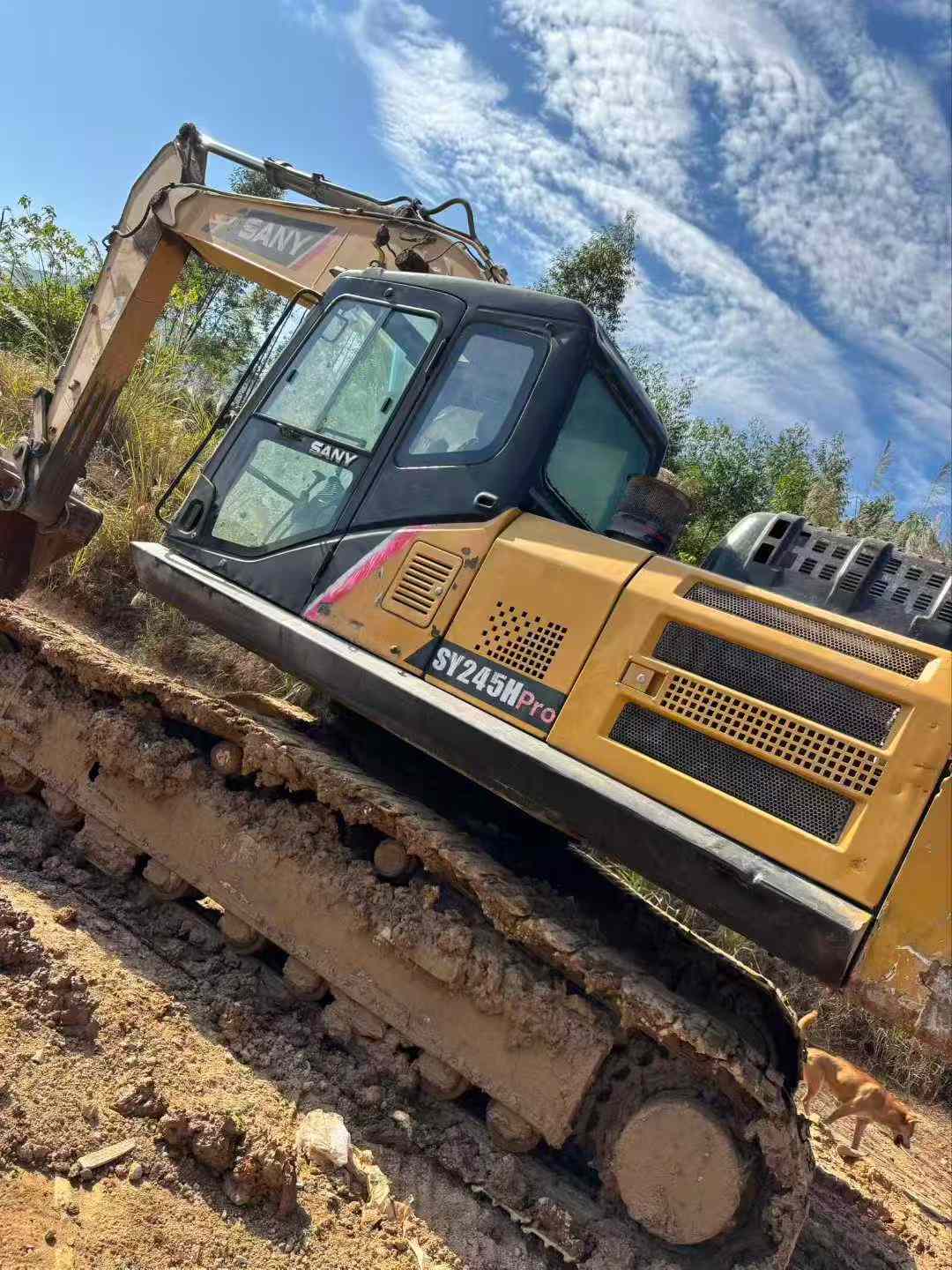 Used Sany SY245H Excavator 2021 Model