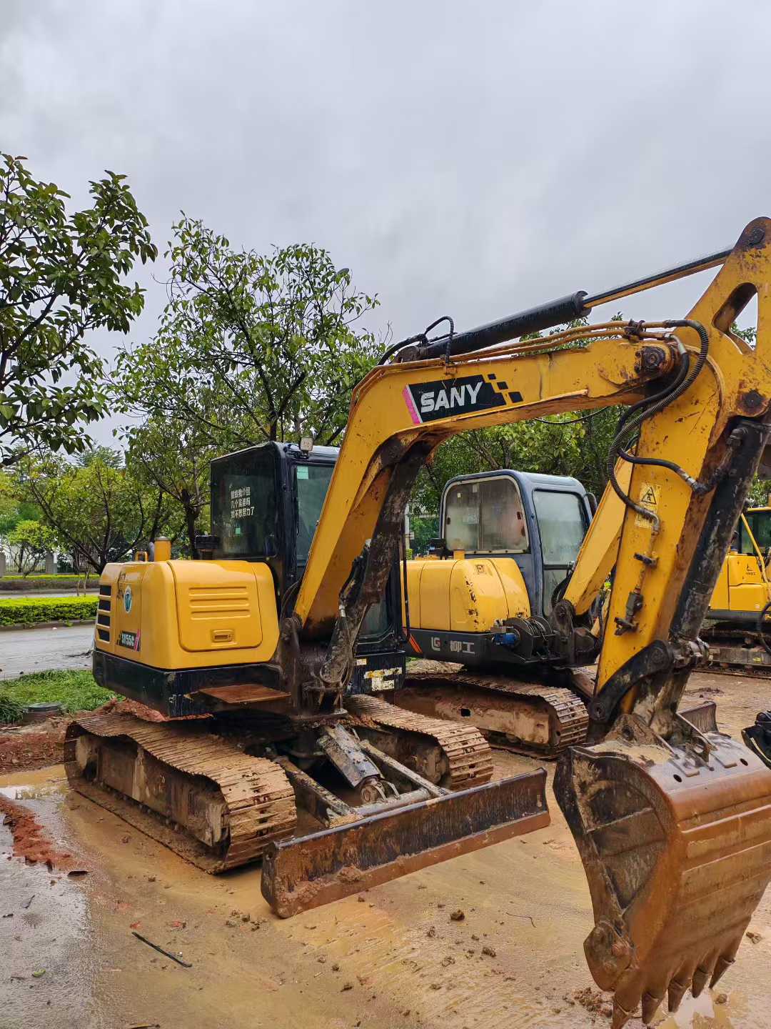 Used Sany SY55 Excavator 2021 Model / 2