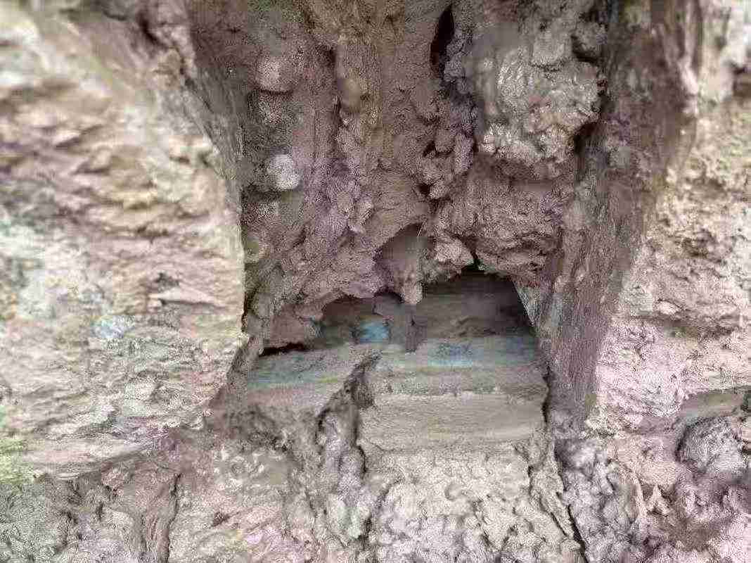 Used Kobelco SK75 Excavator 2021 Model / 5