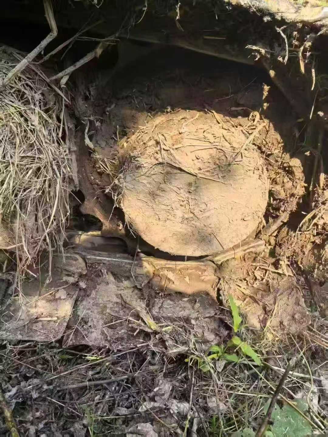 Used Doosan DX75 Excavator 2016 Model / 9