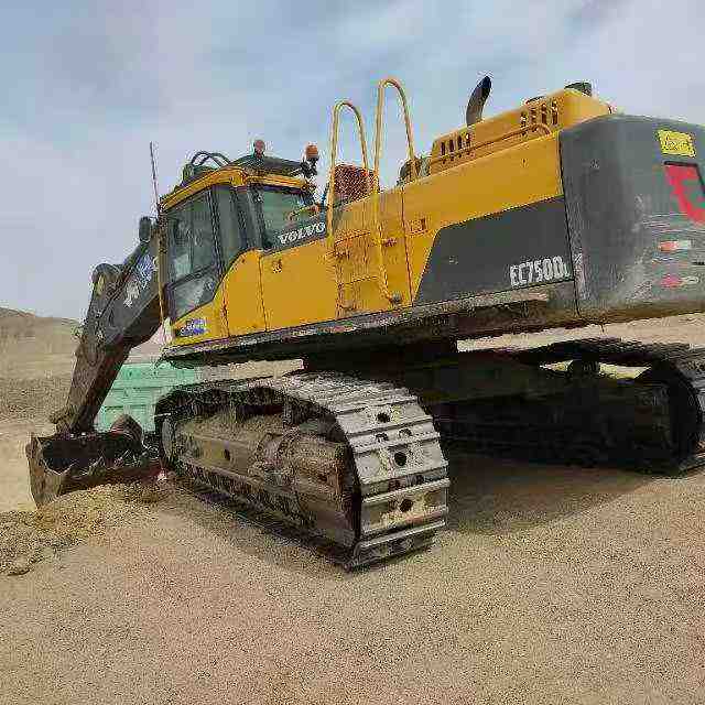 Used Volvo EW50 Excavator 2020 Model