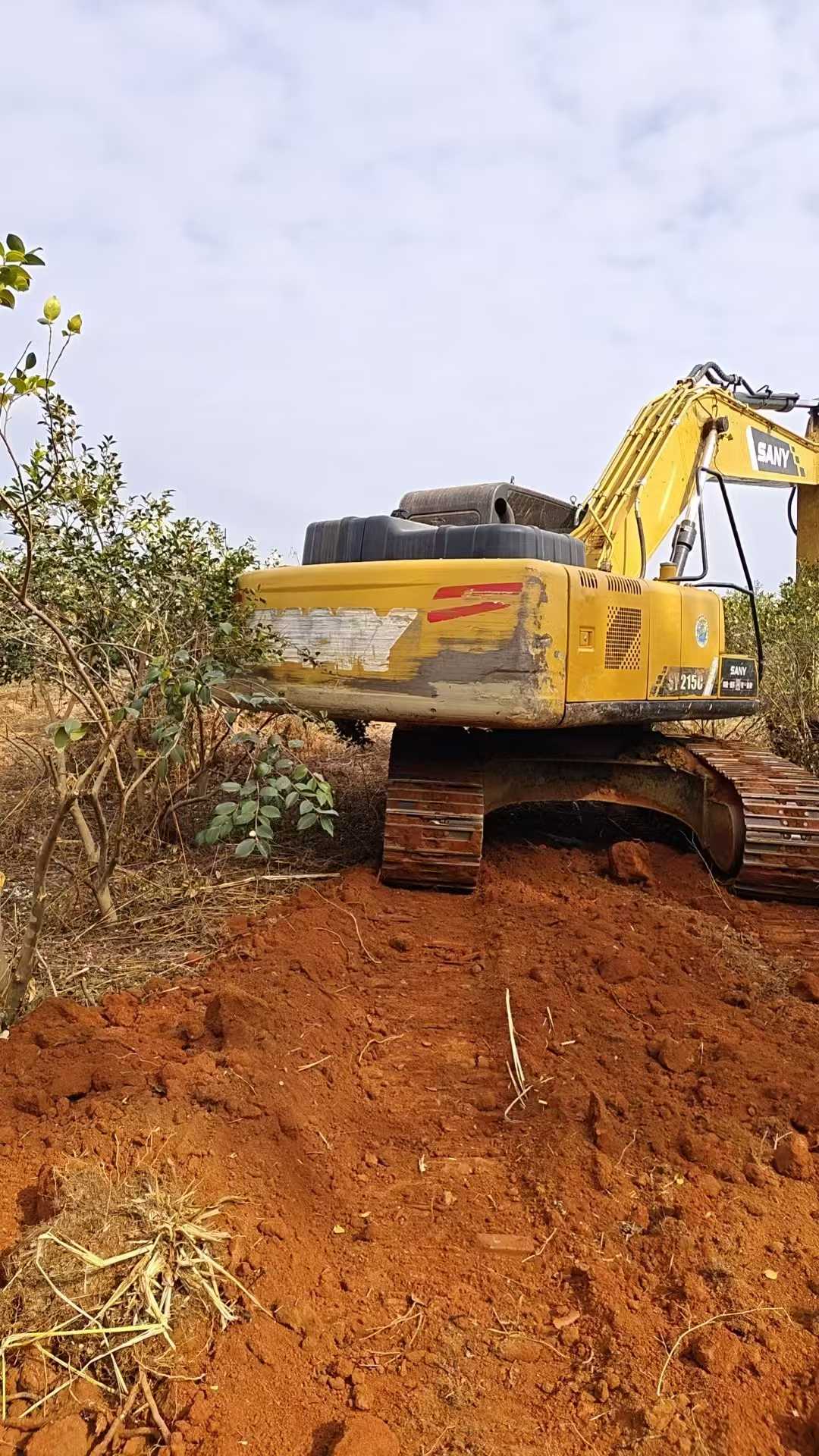 Used Sany SY60 Excavator 2019 Model