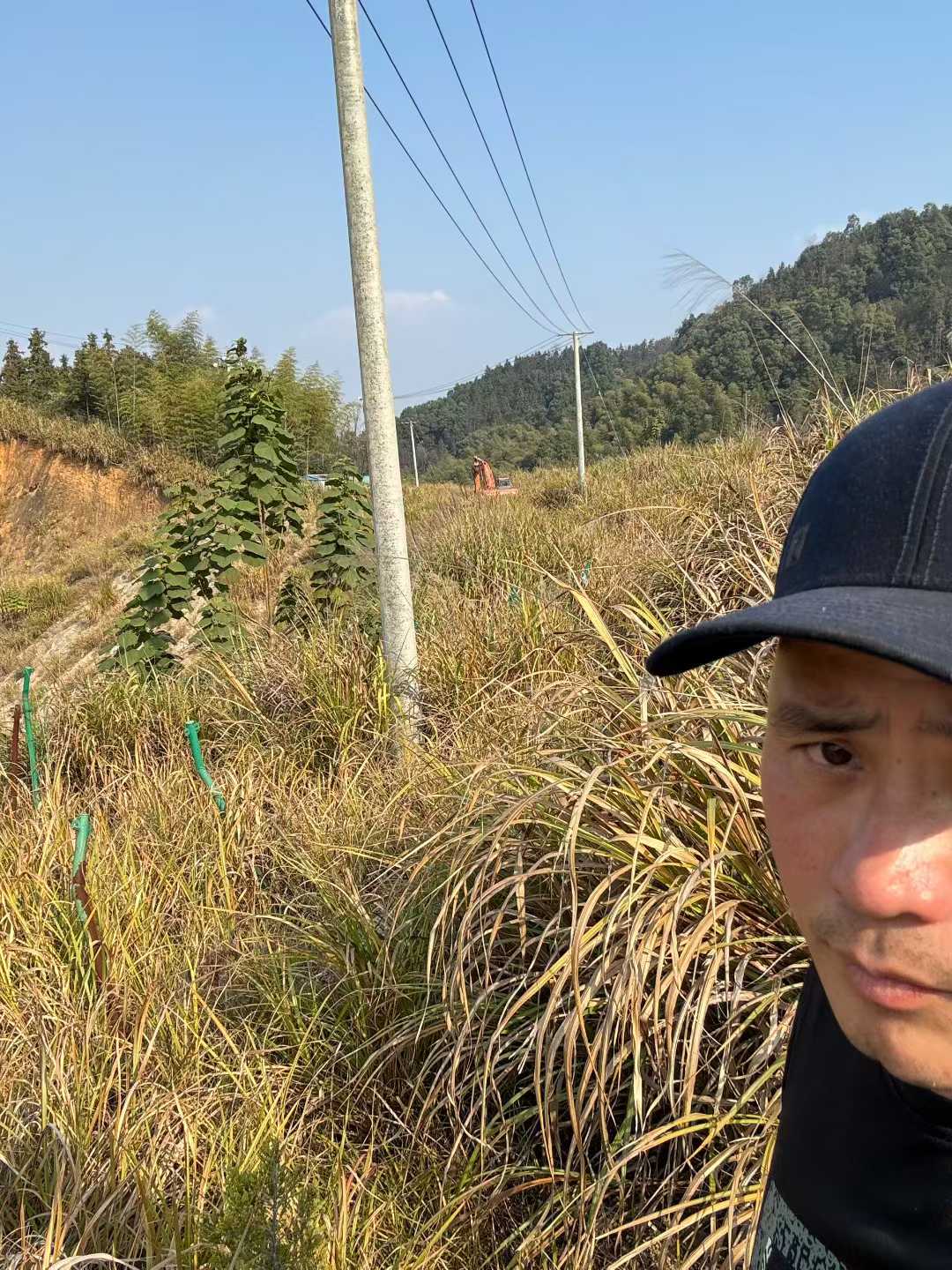 Used Hitachi ZX50 Excavator 2016 Model