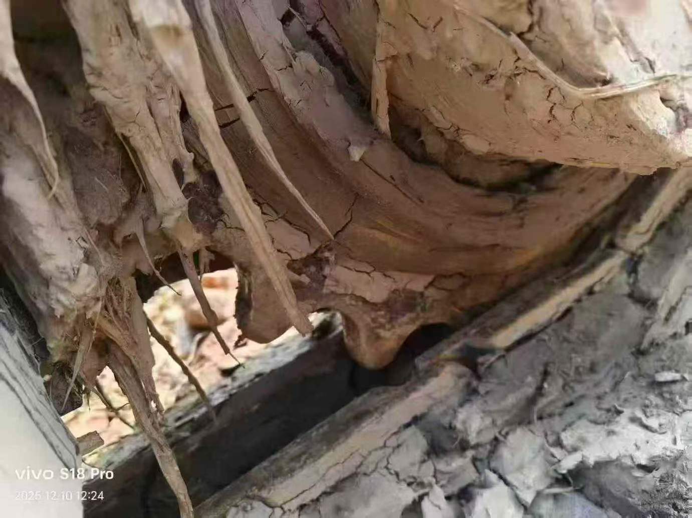 Used Sany SY75 Excavator 2025 Model / 5