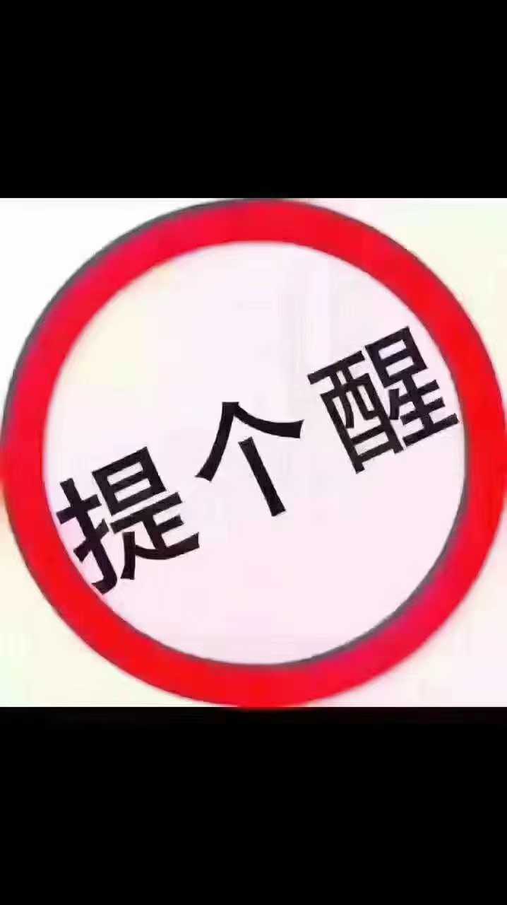 Used XCMG ZL60G Excavator 2024 Model / 9