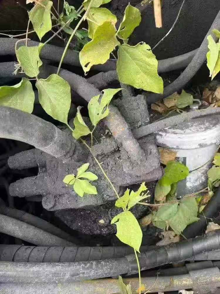 Used Caterpillar 320D Excavator 2016 Model / 6