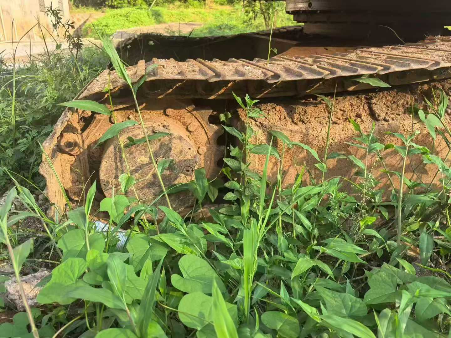 Used Sany SY55 Excavator 2016 Model / 3