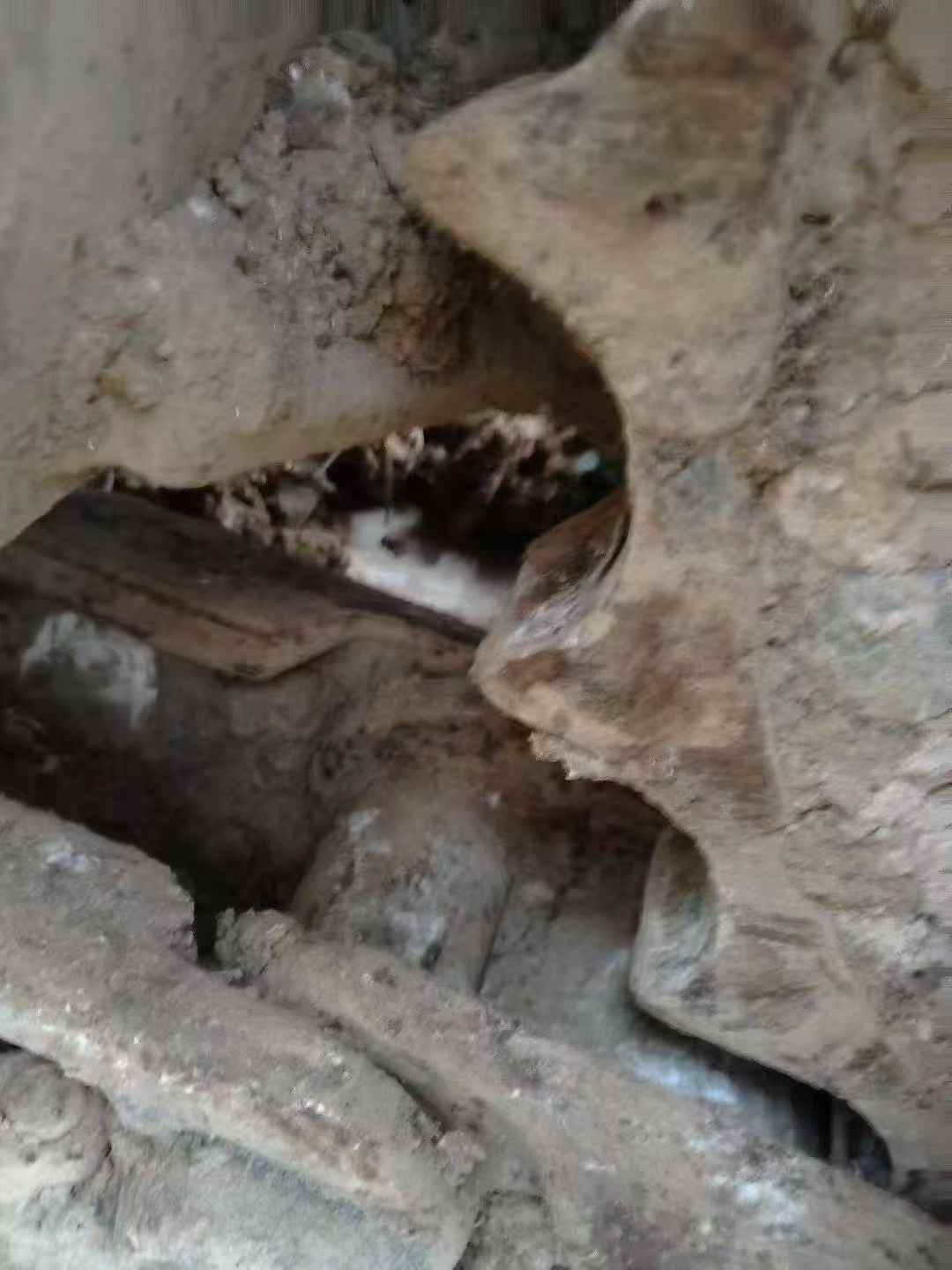 Used Caterpillar 320C Excavator 2016 Model / 9