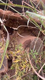 Buy Komatsu PW200-7 Used Excavator / 6 Used Komatsu PW200-7 Excavator 2016 Model / 6