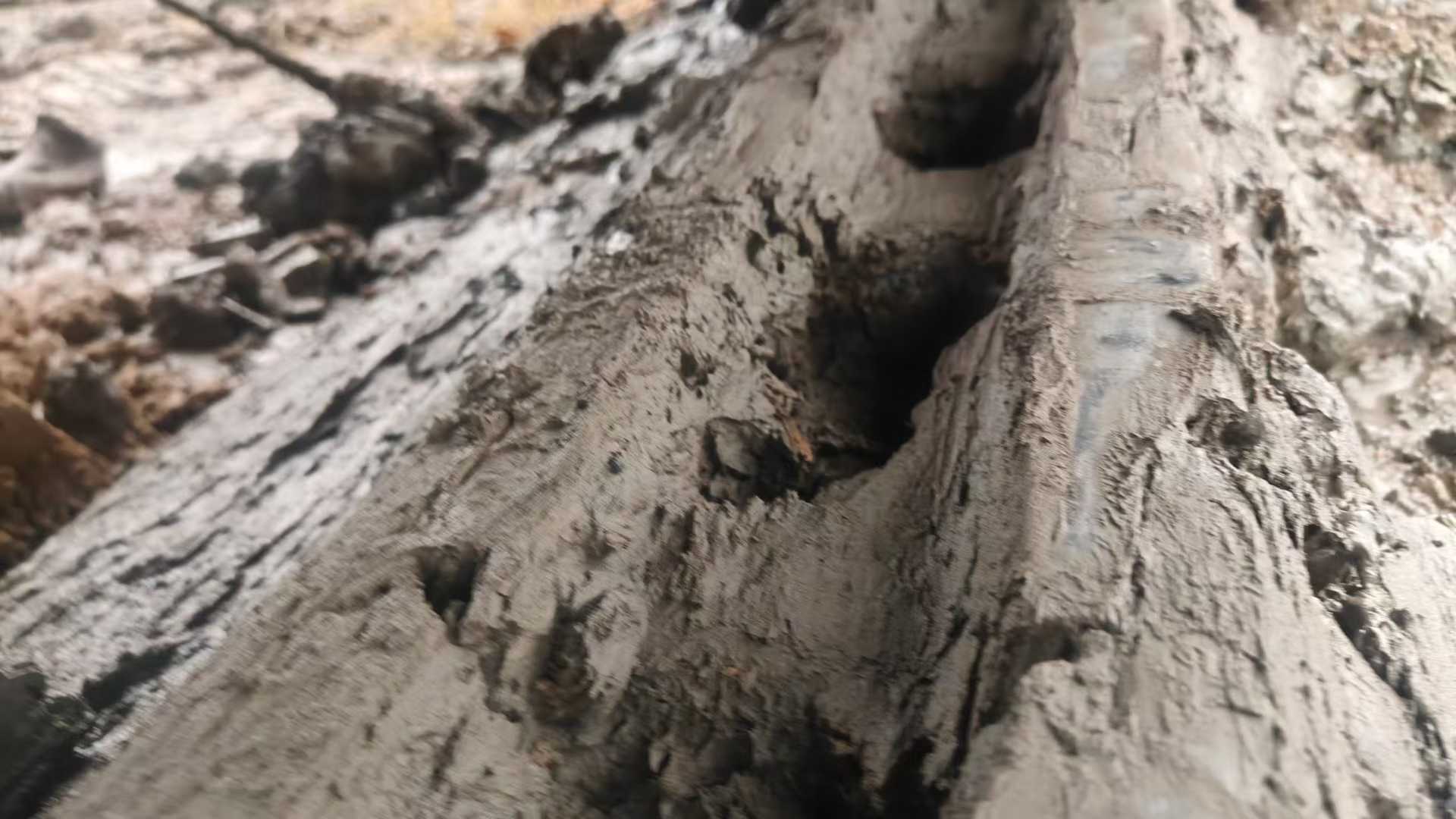 Used Sany SY195C Excavator 2017 Model / 9