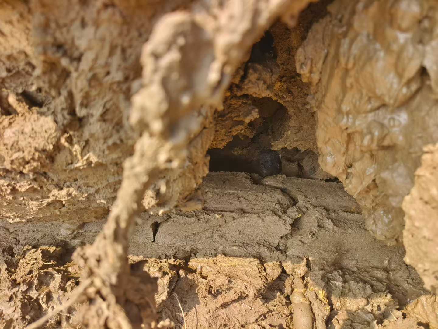 Used Komatsu PC240-11M0 Excavator 2016 Model / 6