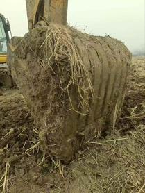 Buy Komatsu PC200-8 Used Excavator / 8 Used Komatsu PC200-8 Excavator 2017 Model / 8