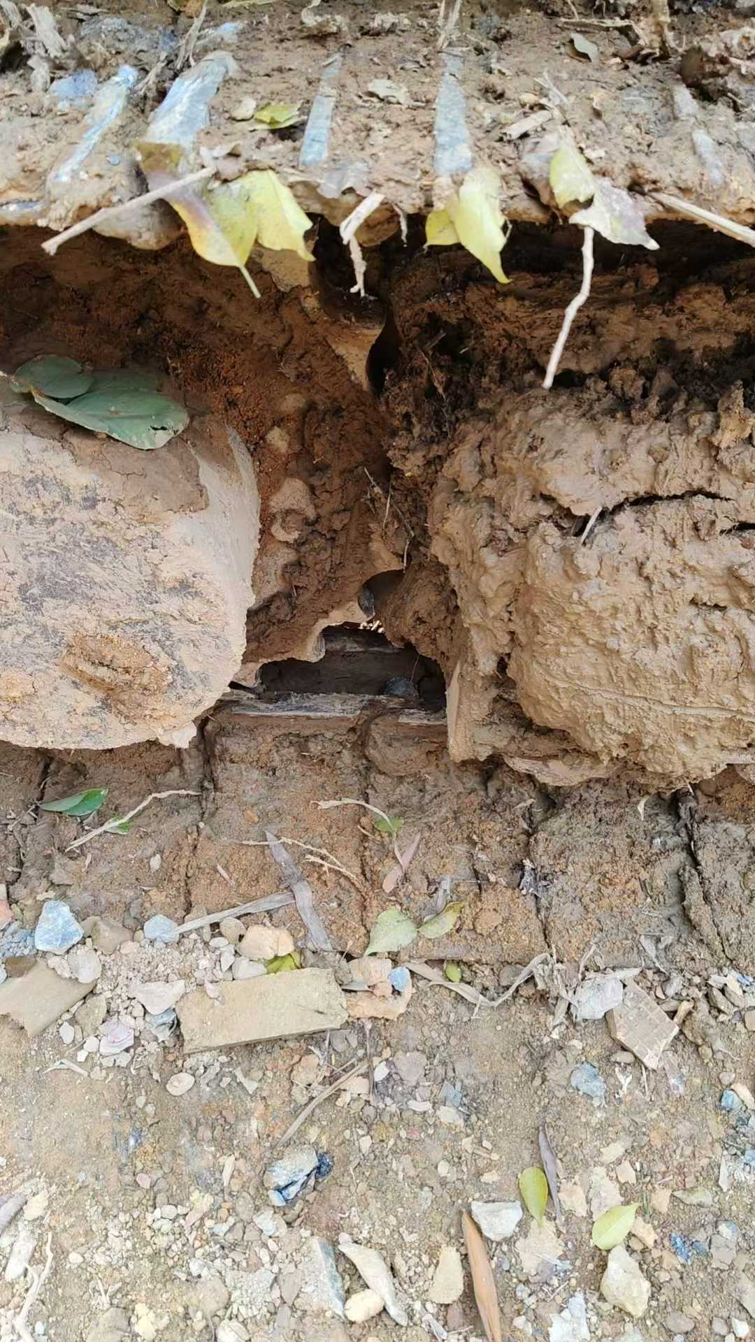 Used Caterpillar 307V2 Excavator 2016 Model / 6