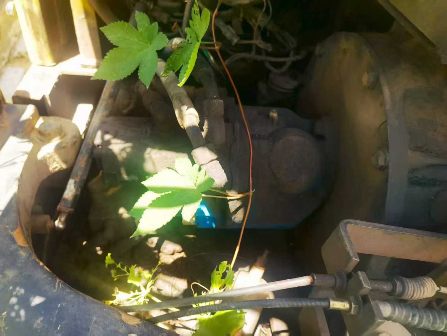 Used Hyundai HX60 Excavator 2016 Model / 4